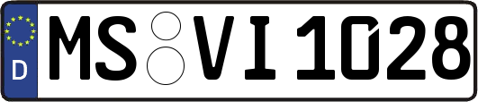 MS-VI1028