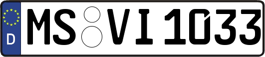 MS-VI1033