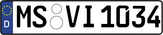 MS-VI1034