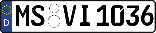 MS-VI1036