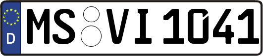 MS-VI1041