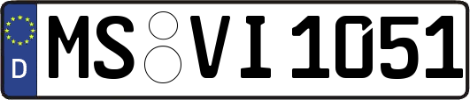 MS-VI1051
