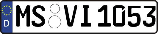 MS-VI1053