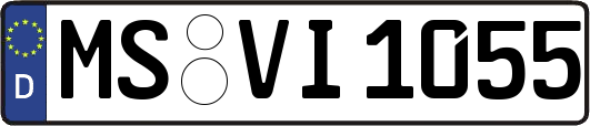 MS-VI1055