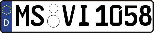 MS-VI1058