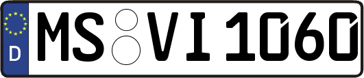 MS-VI1060