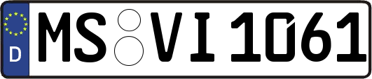 MS-VI1061