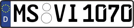 MS-VI1070