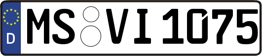 MS-VI1075