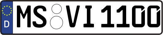 MS-VI1100