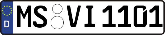 MS-VI1101