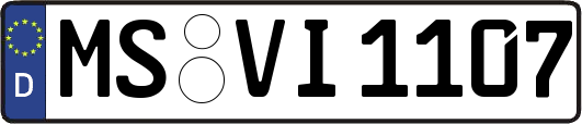 MS-VI1107