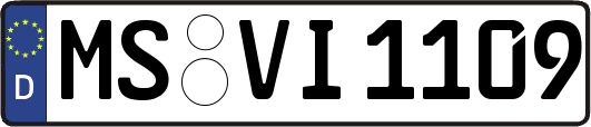 MS-VI1109