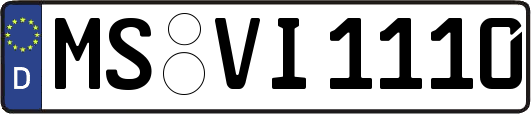 MS-VI1110
