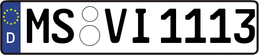 MS-VI1113