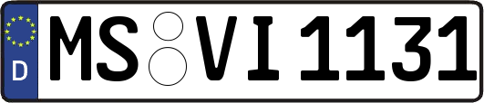 MS-VI1131
