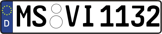 MS-VI1132