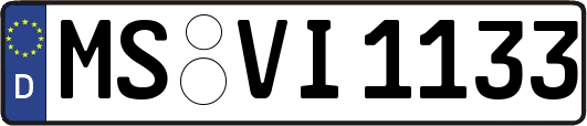 MS-VI1133