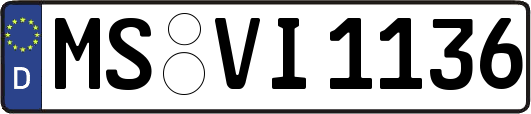 MS-VI1136