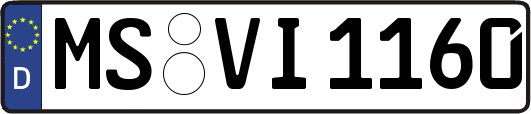MS-VI1160