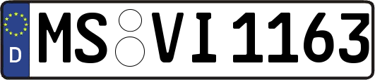 MS-VI1163