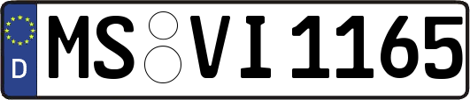 MS-VI1165