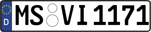 MS-VI1171