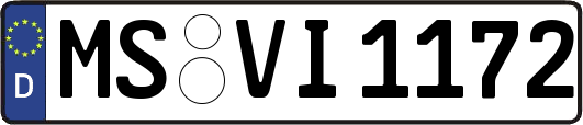 MS-VI1172