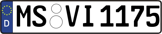 MS-VI1175
