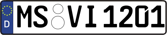 MS-VI1201