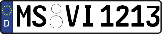 MS-VI1213