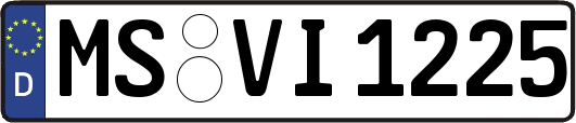 MS-VI1225