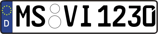 MS-VI1230