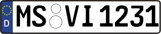 MS-VI1231