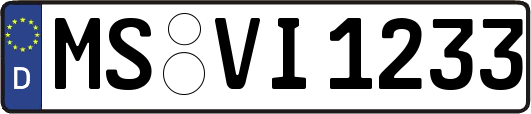 MS-VI1233
