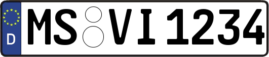 MS-VI1234