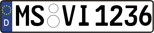 MS-VI1236