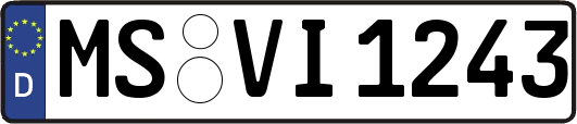 MS-VI1243