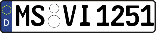 MS-VI1251
