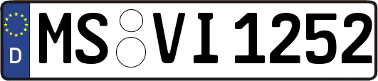 MS-VI1252