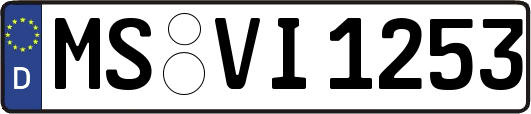 MS-VI1253