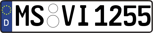 MS-VI1255