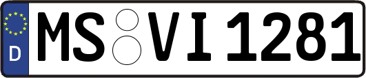 MS-VI1281