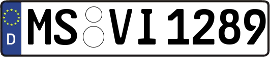 MS-VI1289