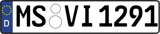 MS-VI1291