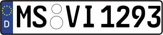 MS-VI1293