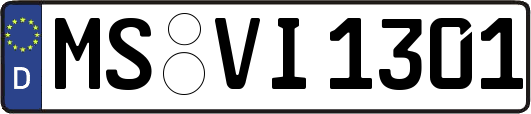 MS-VI1301
