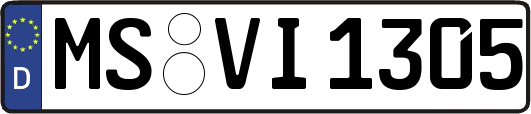 MS-VI1305