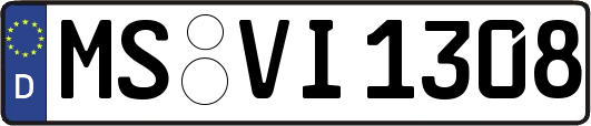MS-VI1308