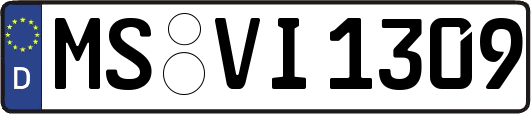 MS-VI1309